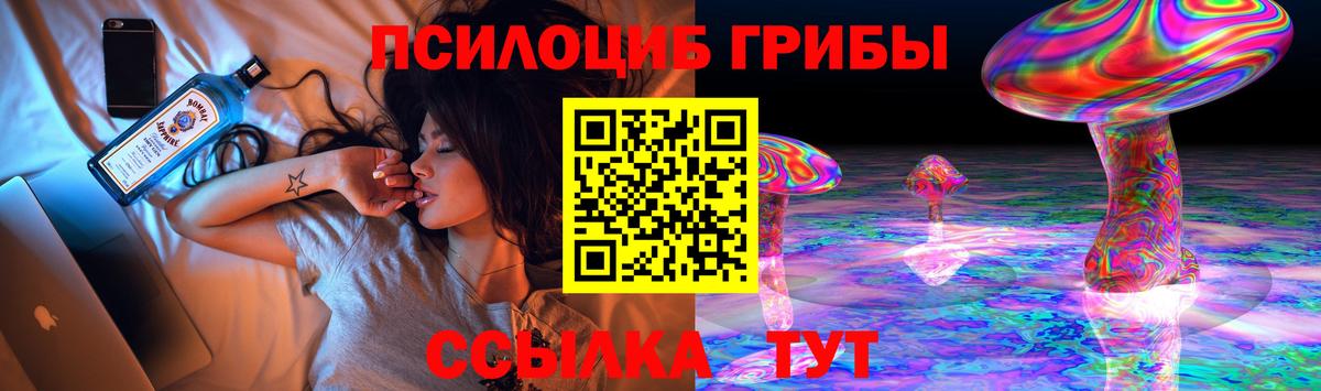 Зеленогорск  Галлюциногенные грибы мицелий  Псилоцибиновые грибы Cubensis  Вход с VPN 
